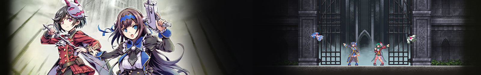 collection banner