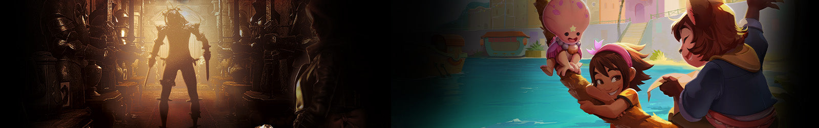 collection banner