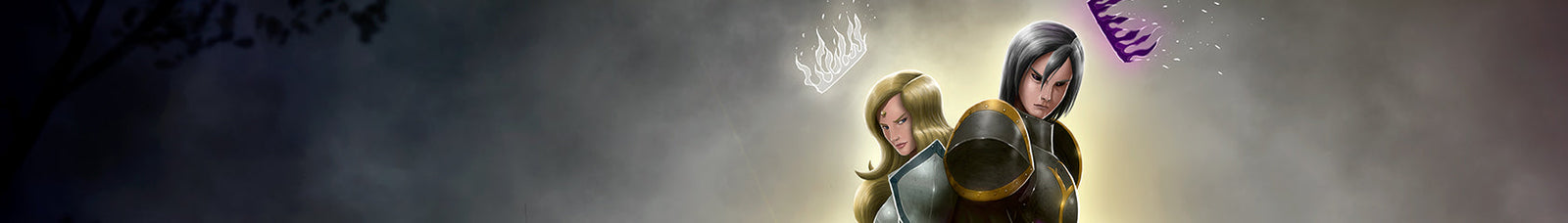 collection banner