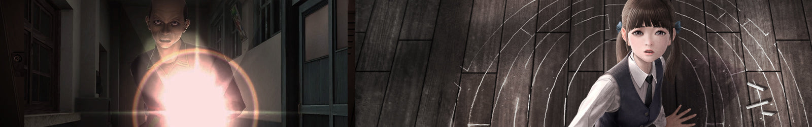 collection banner