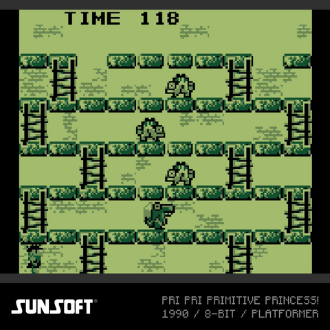 #38 Sunsoft Collection 2 - Evercade Cartridge