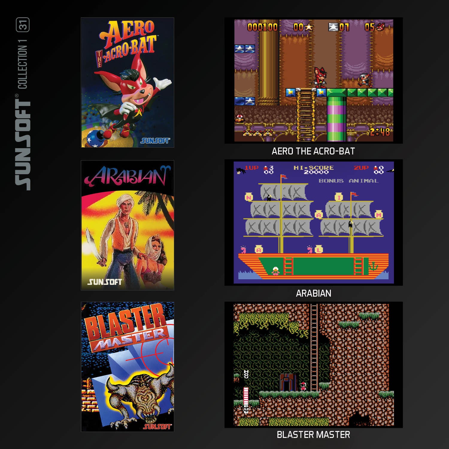 #31 Sunsoft Collection 1 - Evercade Cartridge
