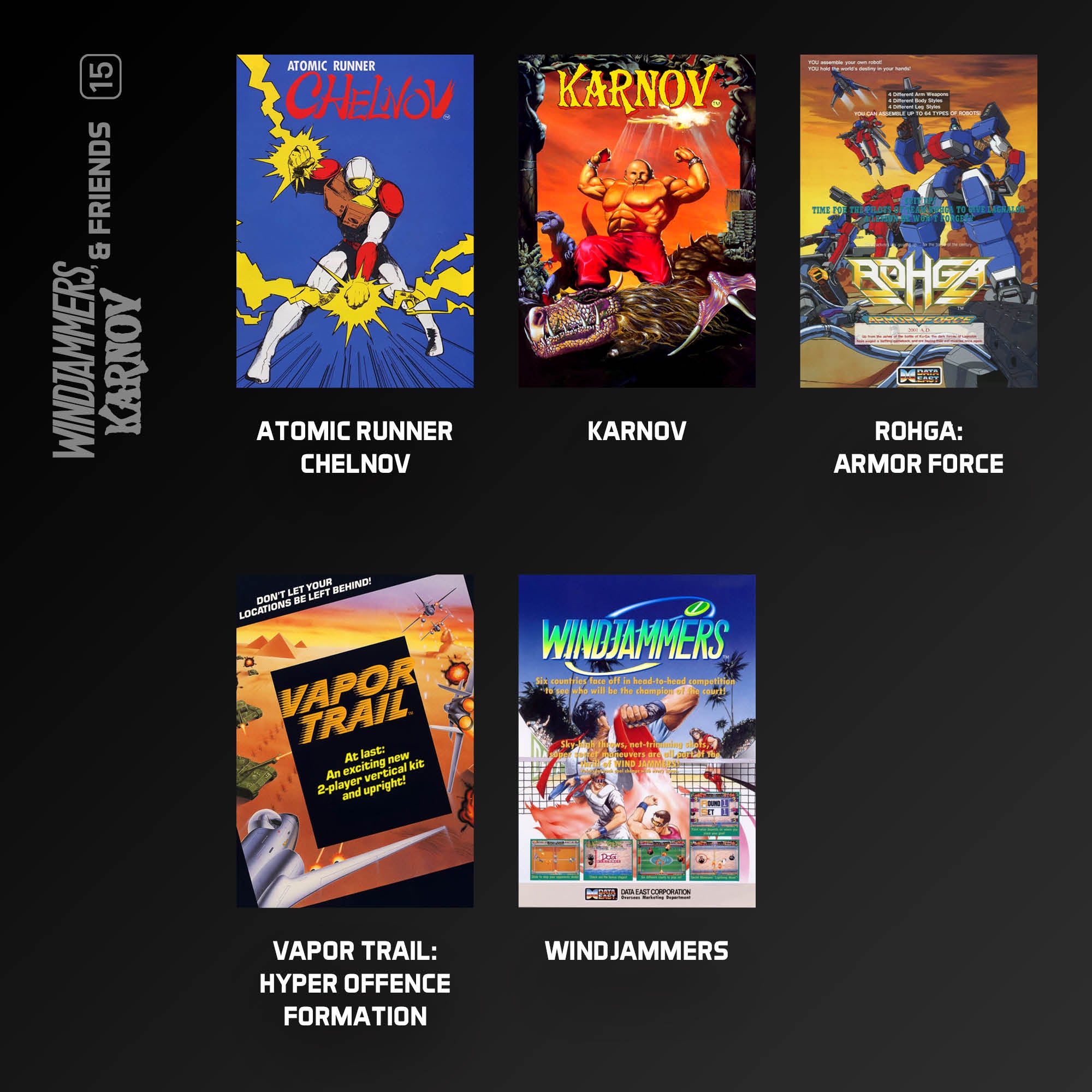 #15 Windjammers, Karnov and Friends - Evercade Cartridge