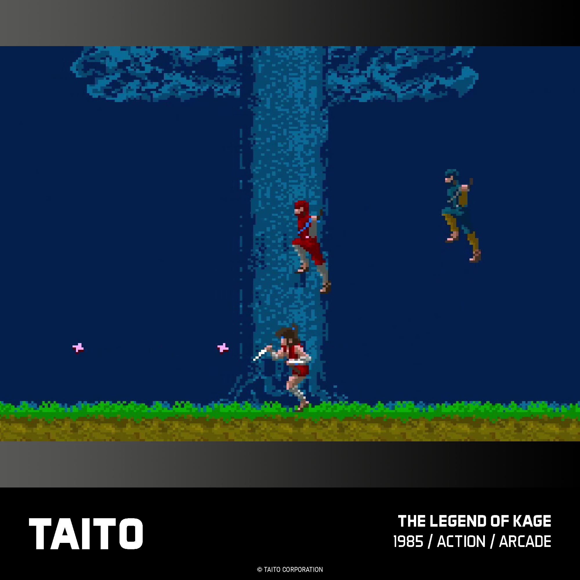 #17 Taito Arcade 1 - Evercade Cartridge