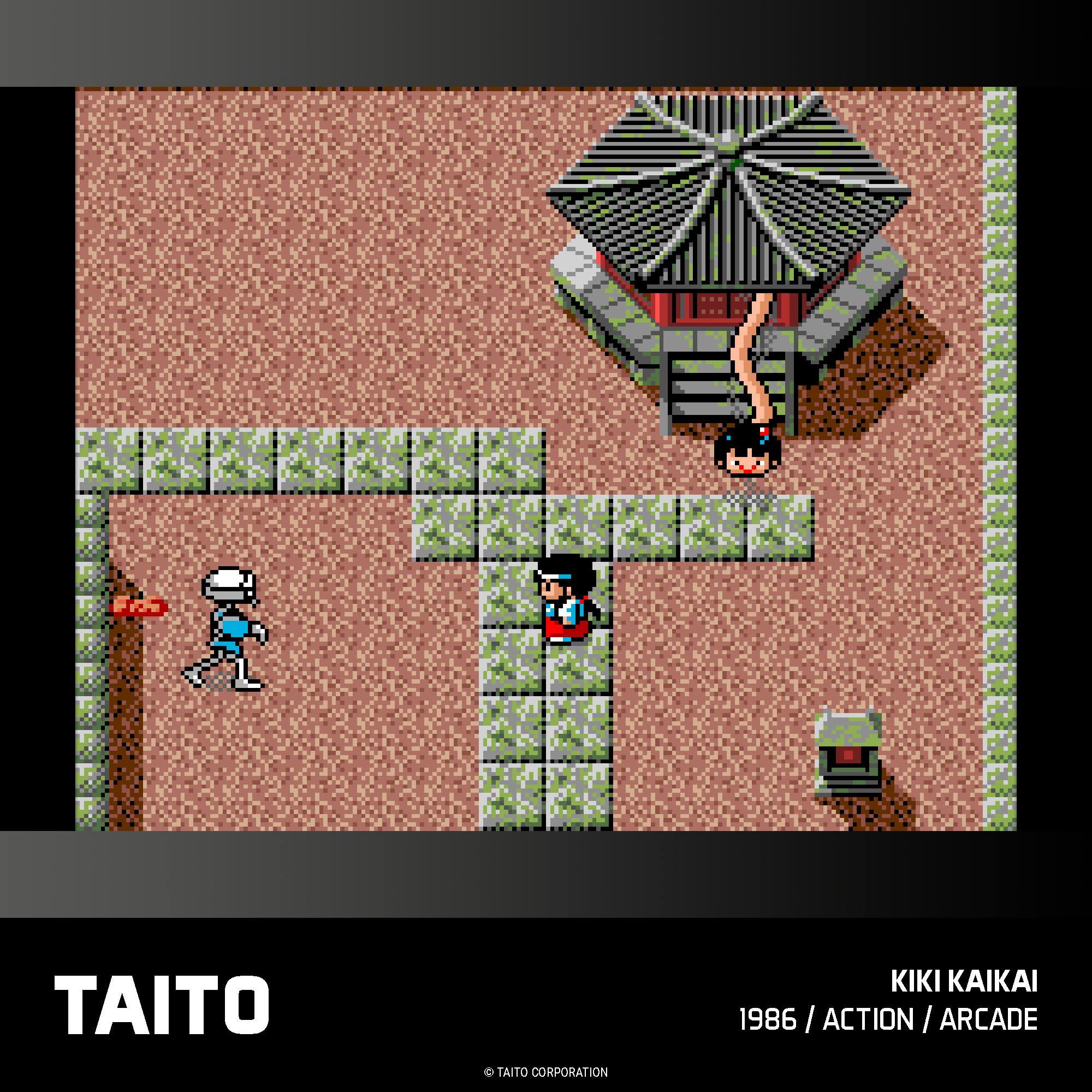 #18 Taito Arcade 2 - Evercade Cartridge