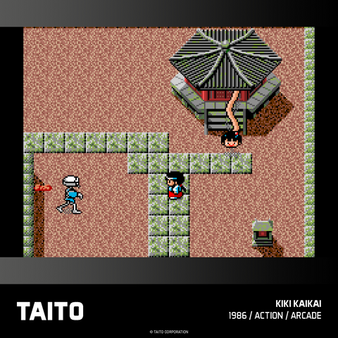 #18 Taito Arcade 2 - Evercade Cartridge