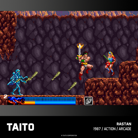 #18 Taito Arcade 2 - Evercade Cartridge