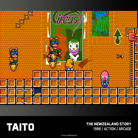 #18 Taito Arcade 2 - Evercade Cartridge