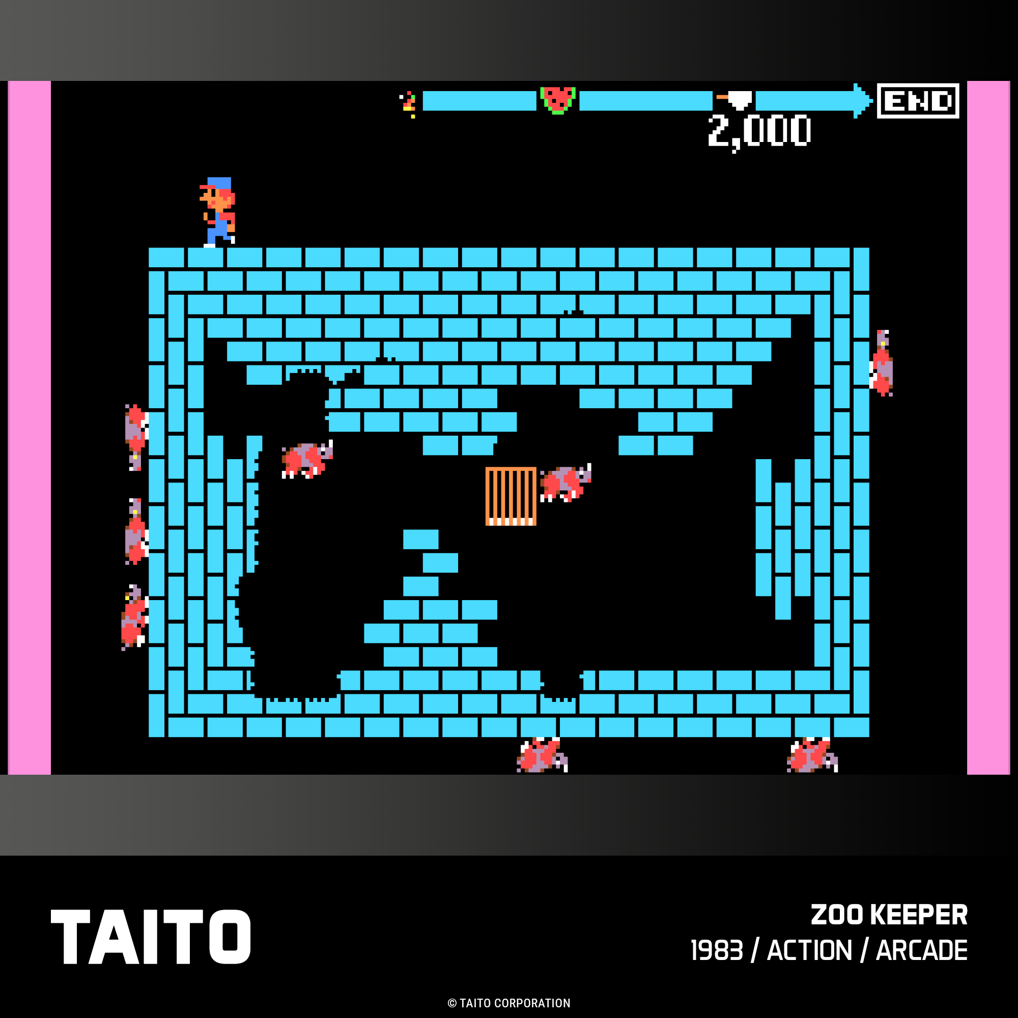 #21 Taito Arcade 3 Collection - Evercade Cartridge