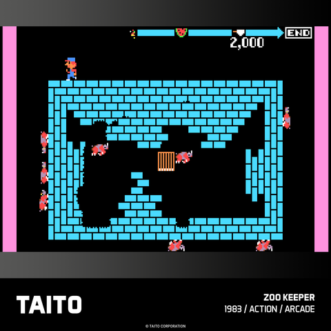 #21 Taito Arcade 3 Collection - Evercade Cartridge