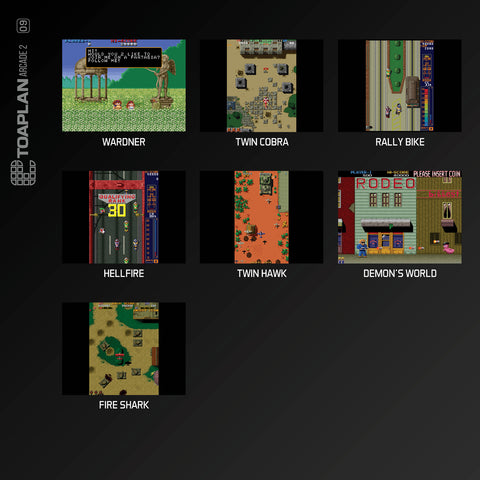 #09 Toaplan Arcade Collection 2 - Evercade Cartridge