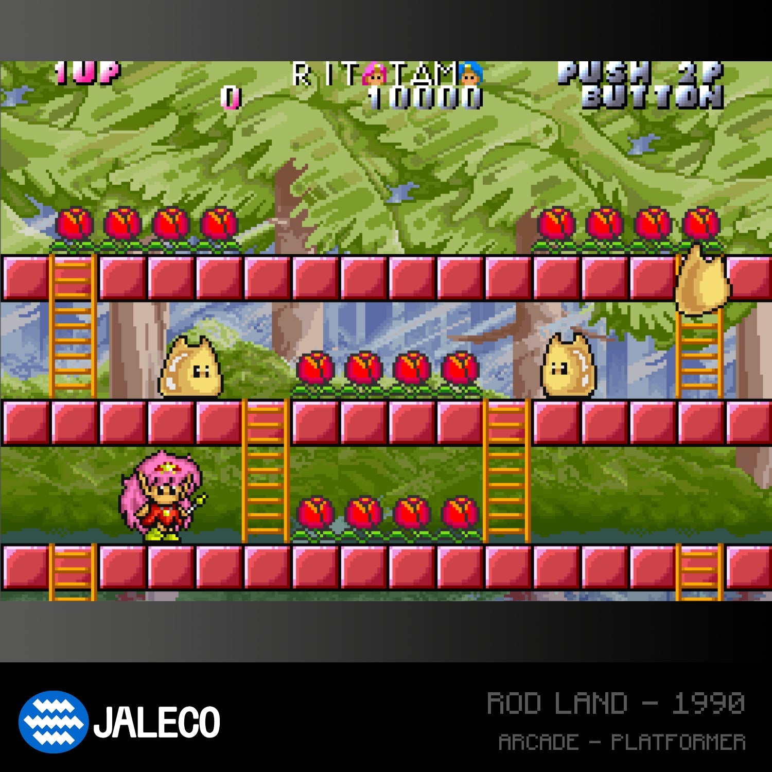 #05 Jaleco Arcade 1 - Evercade Cartridge