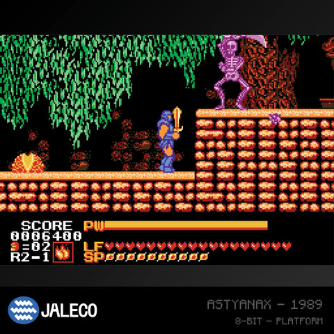 #15 Jaleco Collection 1 - Evercade Cartridge
