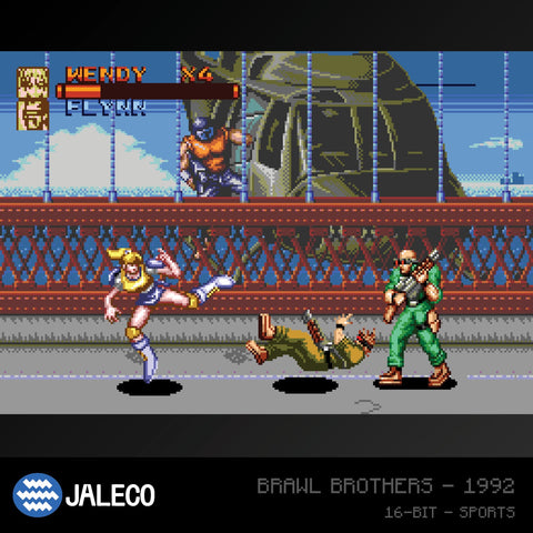 #15 Jaleco Collection 1 - Evercade Cartridge